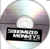 Sodomized Monkeys